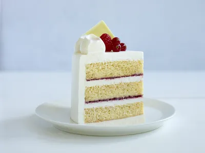 Tegral Sponge Plus Egg free