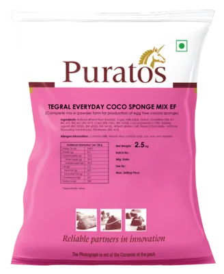 TEGRAL EVERYDAY COCO SPONGE MIX EF