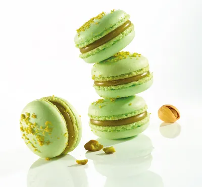Tegral Macaron