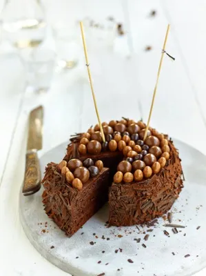 Tegral Satin Belgian Chocolate Cake Mix EF