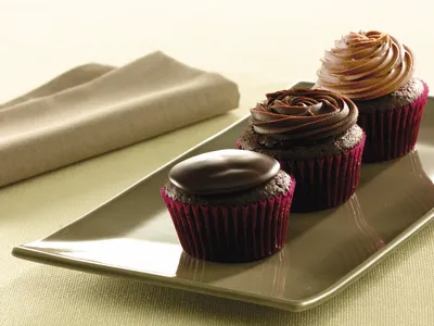 Tegral Satin Cocoa