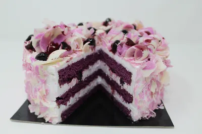 Tegral Satin Purple Velvet Egg Free