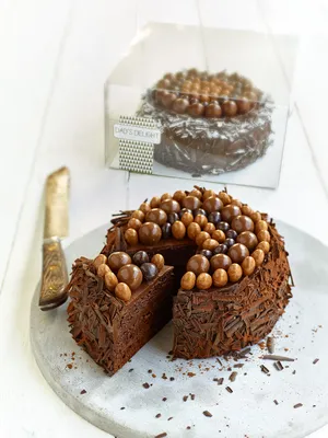 Tegral Choco Sponge