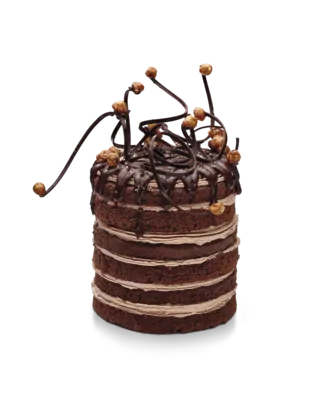 Tegral Sponge Cocoa Plus Egg Free